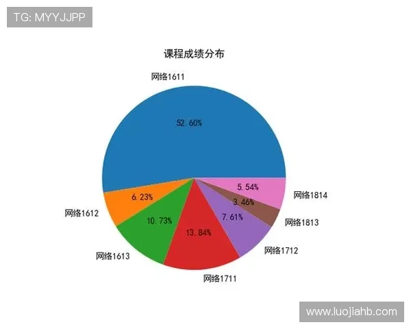 武汉羽毛球队技术表现分析与联赛成绩的深度解读 武汉羽毛球队技术表现分析与联赛成绩的深度解读