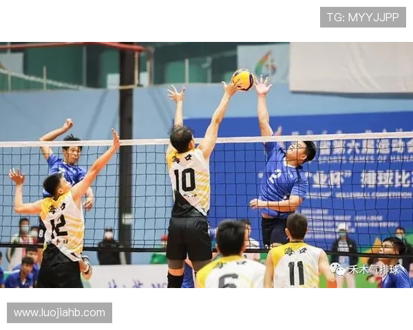 上海足球队配合分析与战术探讨助力球队提升竞技水平