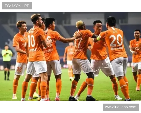 武汉排球队意识争议引发热议球迷与专家各执己见探讨球队未来发展方向