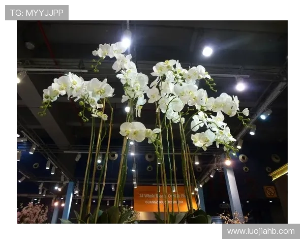 赛后分析:深圳乒乓球队与广州乒乓球队的战术意识与表现对比 赛后分析:深圳乒乓球队与广州乒乓球队的战术意识与表现对比